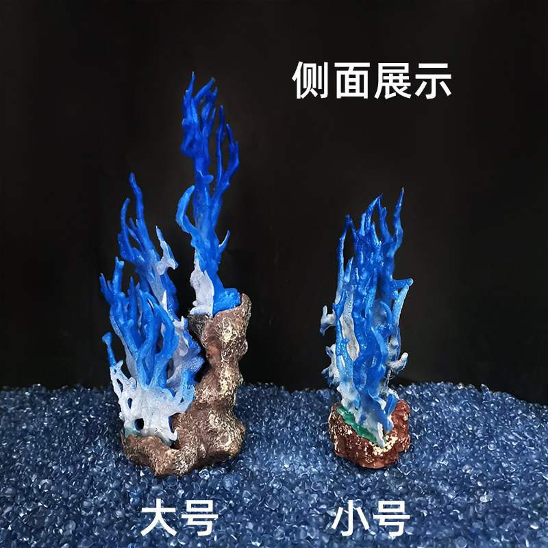 四海珊瑚3