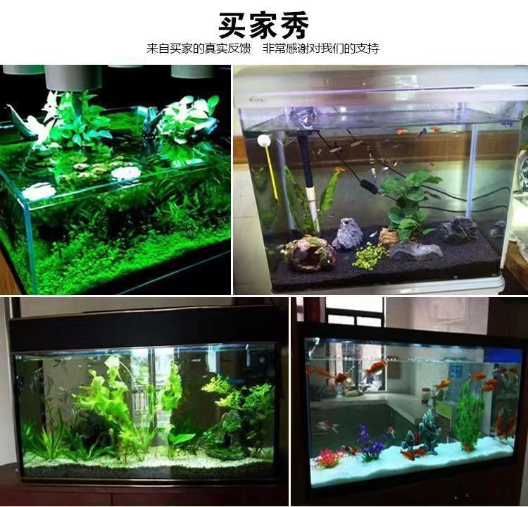 d1a520ee-d7b8-4fea-bd84-828d00d4a8e3.jpe