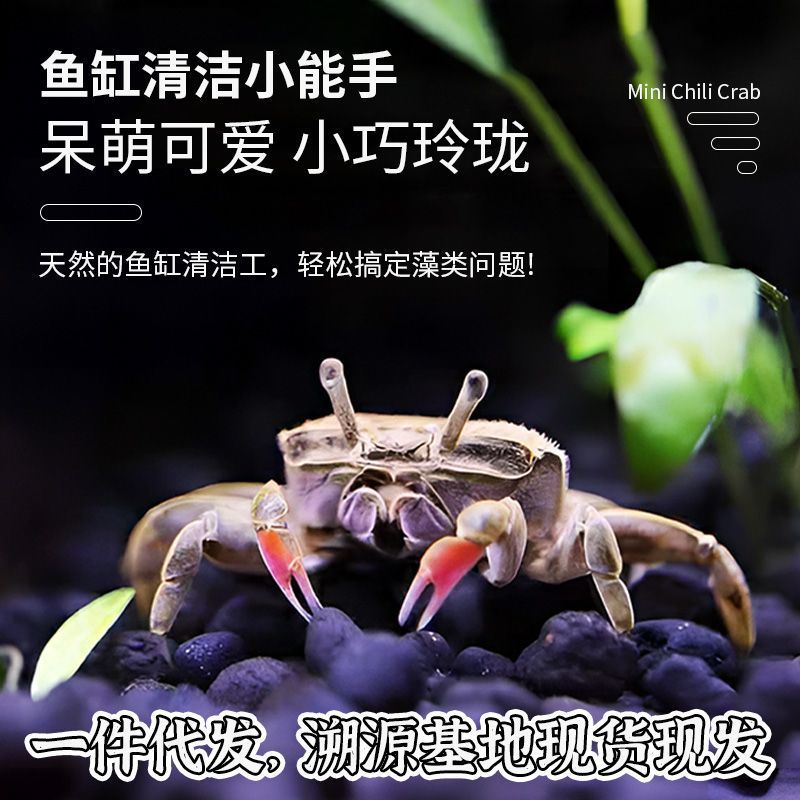 1175f843-ae80-47d3-b5ab-c2a4ef4dcb20.jpe