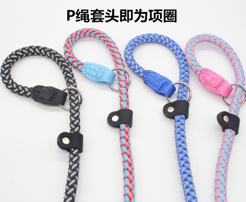 IMG_9953_副本_副本