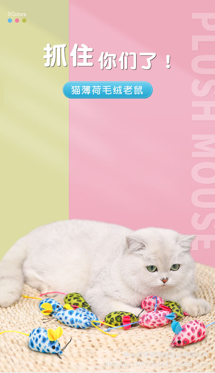详情_01.jpg