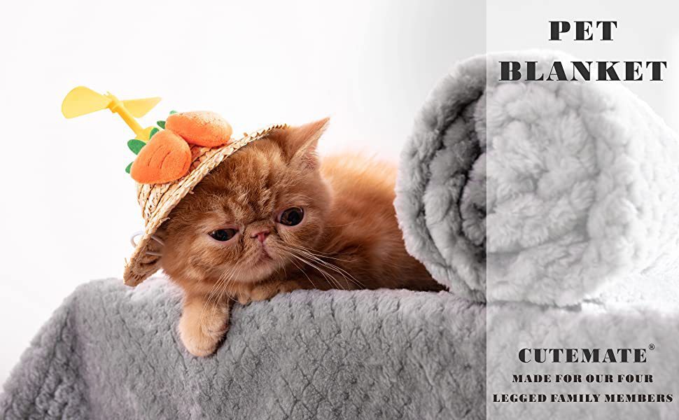 718de81c-3931-4307-be28-a22da9