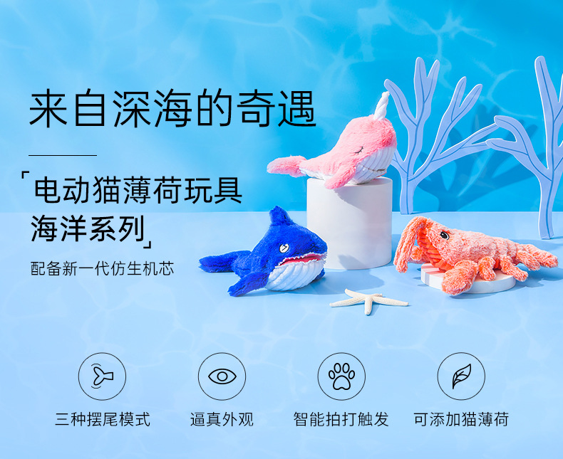 详情-01.jpg