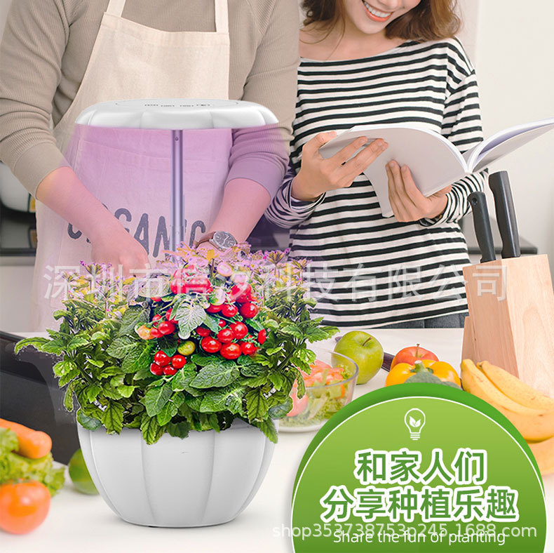 花瓣植物机详情_12