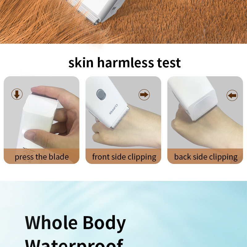 20210416LGL外贸版_12