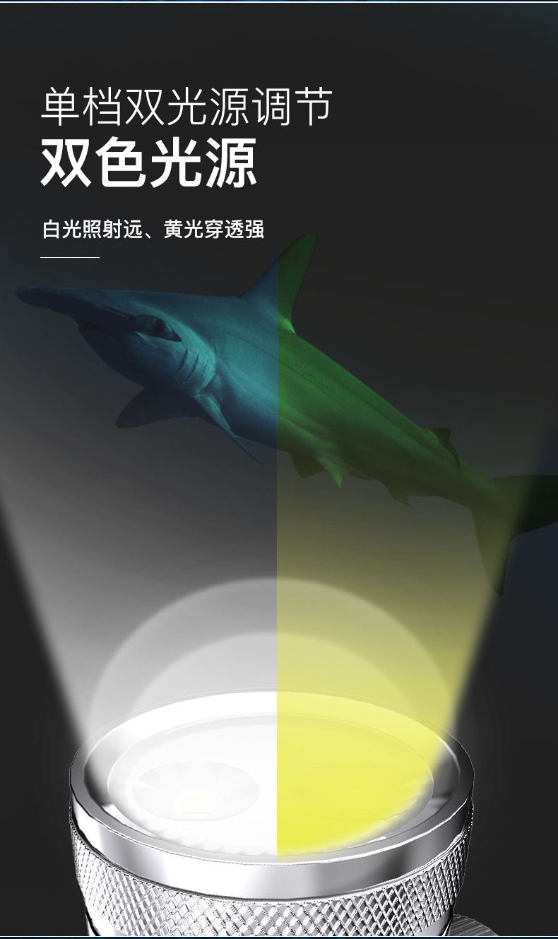 b62ff39a-7758-479c-a09b-9dc211c44eff.jpe