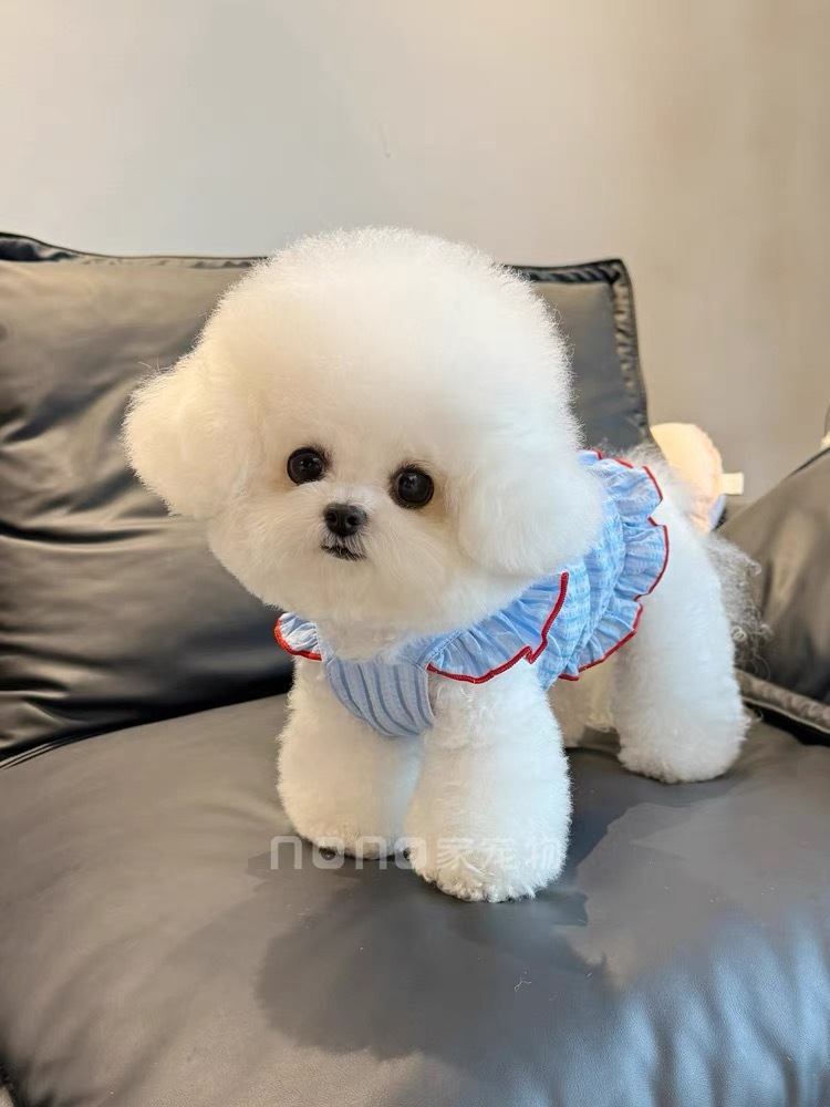 4813a91e-77dc-42dc-ac49-69a8696524d7.jpe