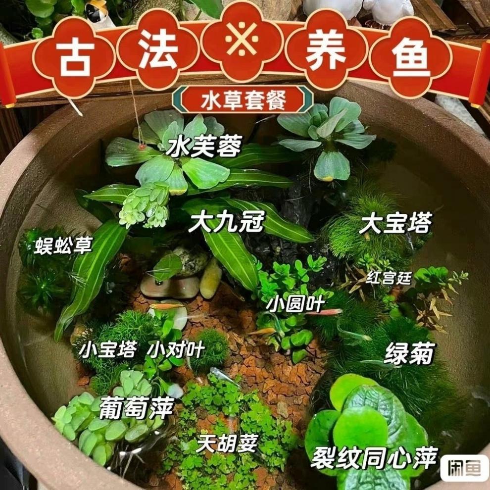 878bf320-8098-4e9d-a5c0-d49766954e53.jpe