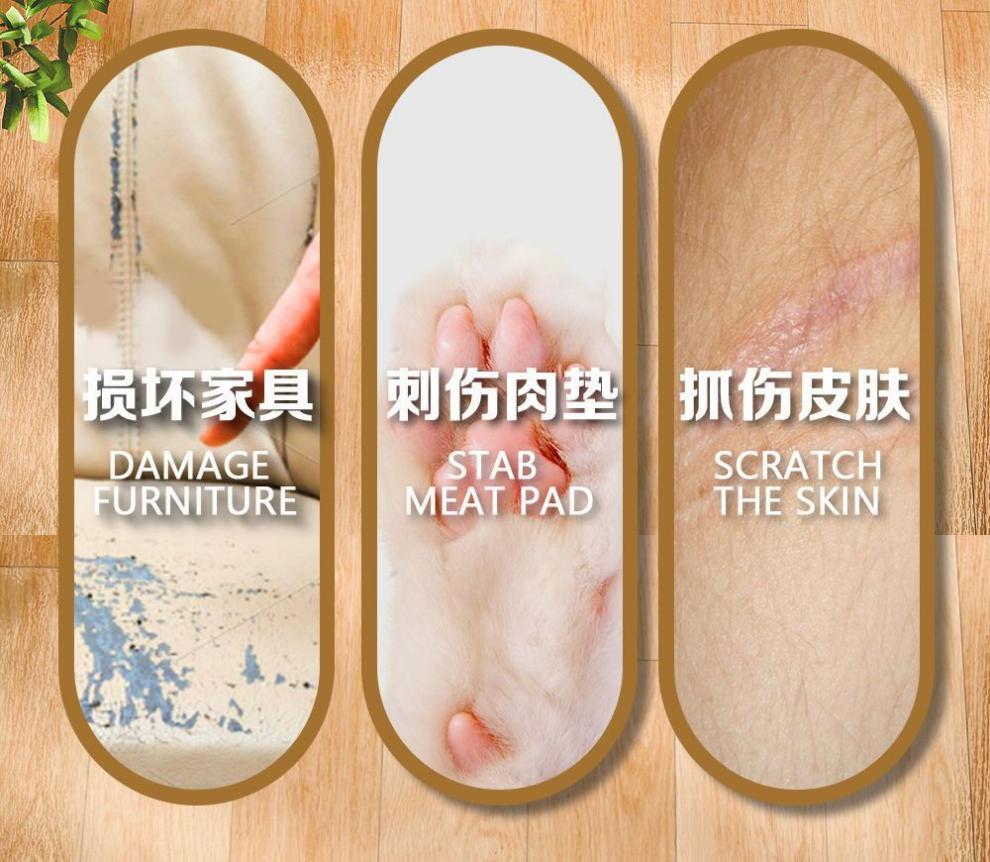 4e09d51c-6593-4d09-9056-108476ebc805.jpe