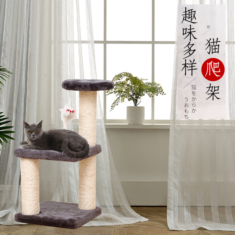主图
