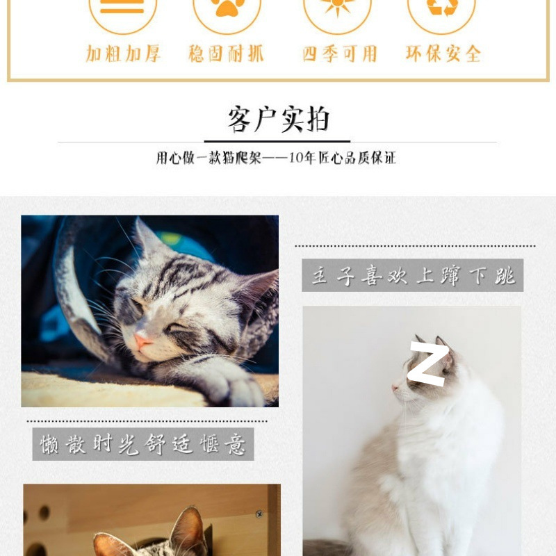 519a5a44-c424-4ee8-899d-7343f5bf080e.jpe