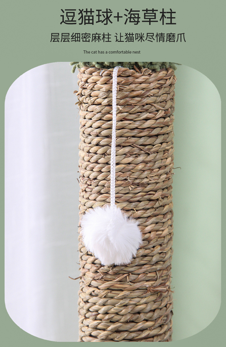 2f7b7b6f-a361-46d3-b107-24c647e484b4.jpe