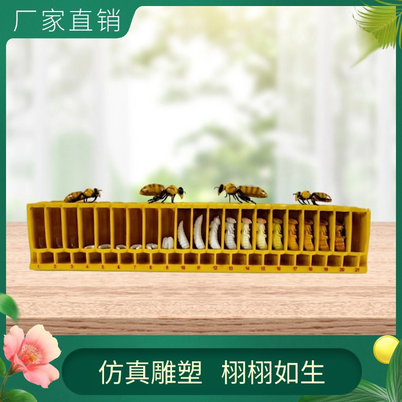 小程序商城社区团购生鲜主图图标 (2)6.jpg