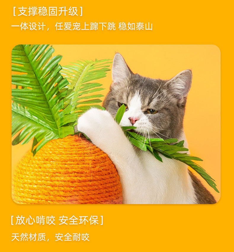 0ab795ba-5842-4a53-bd46-00746d4b55a8.jpe