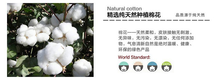 T2hACLXmpbXXXXXXXX-712571990.j