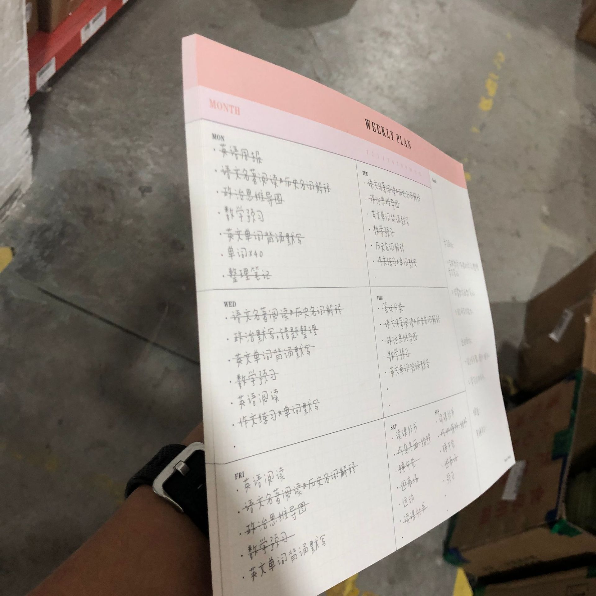 拍纸本3