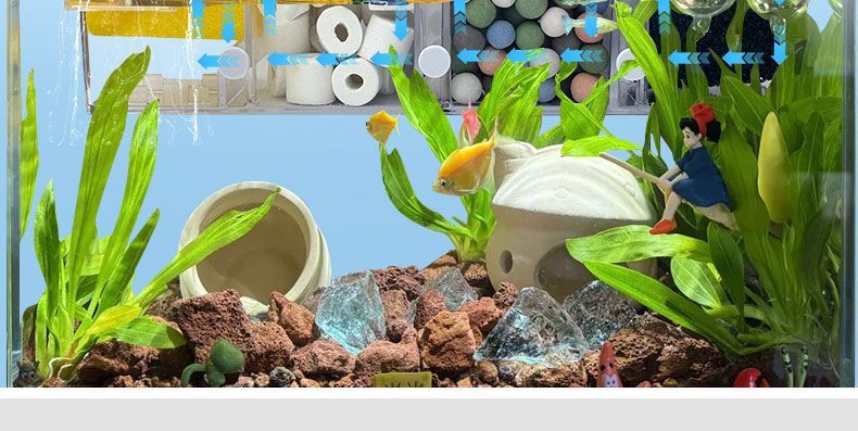 53dbfb05-edf8-49ce-8588-681e3d648eb8.jpe