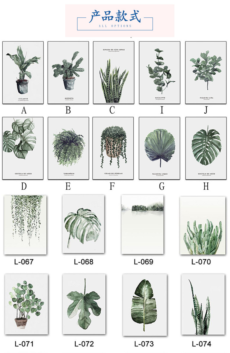 详情-20.jpg植物小清新1-10