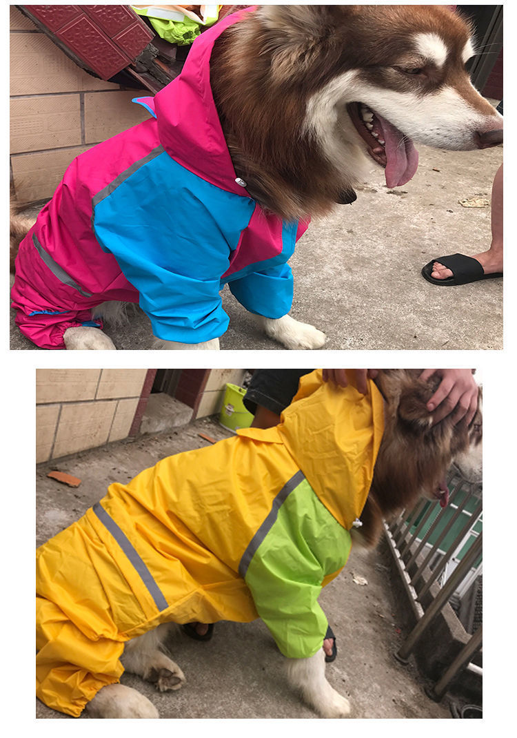 d238c558-7174-4674-a495-0cb592033100.jpe