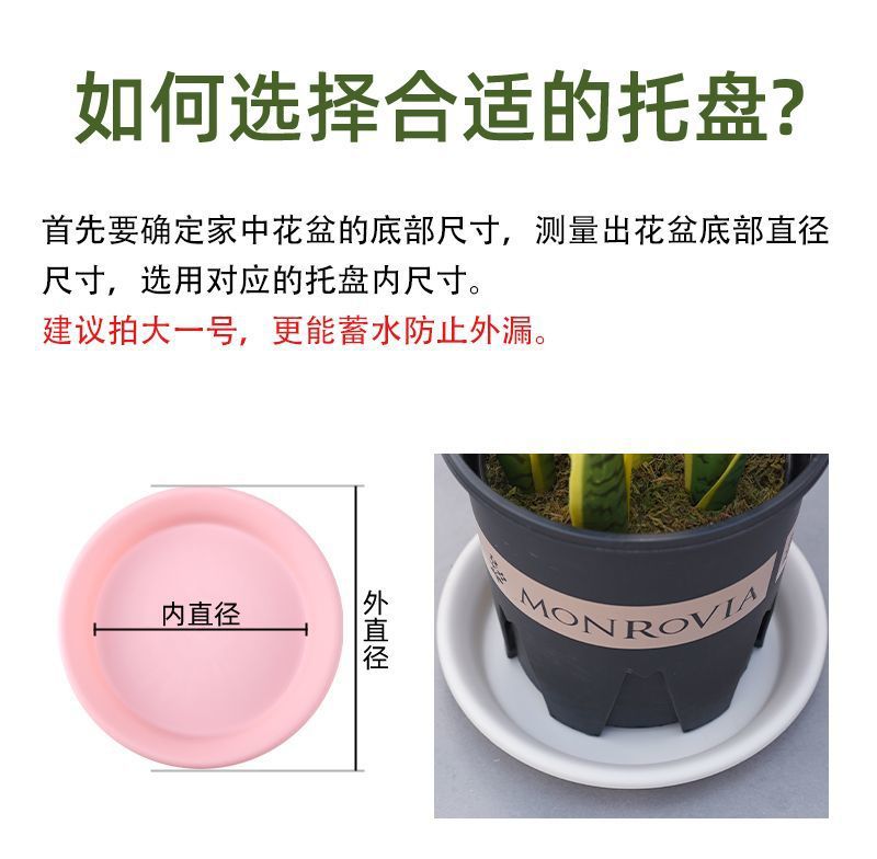 285f12ed-179d-41d9-a69c-e9abf759fb43.jpe