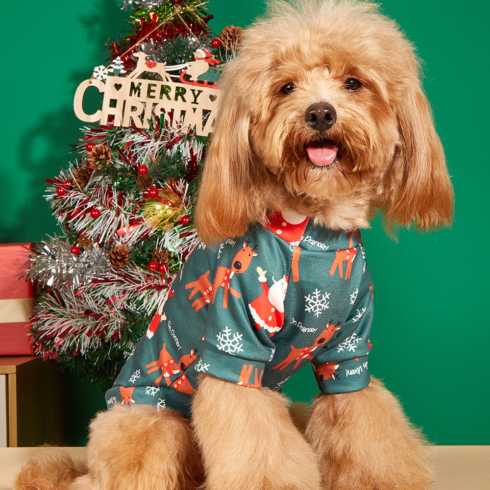 2Z5A9895 - 副本.jpg