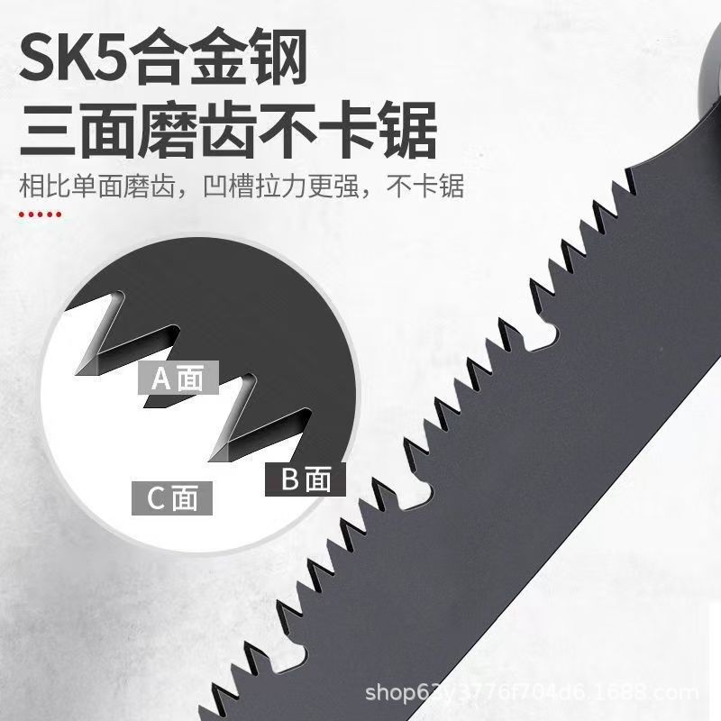 微信图片_202504091514101.jpg