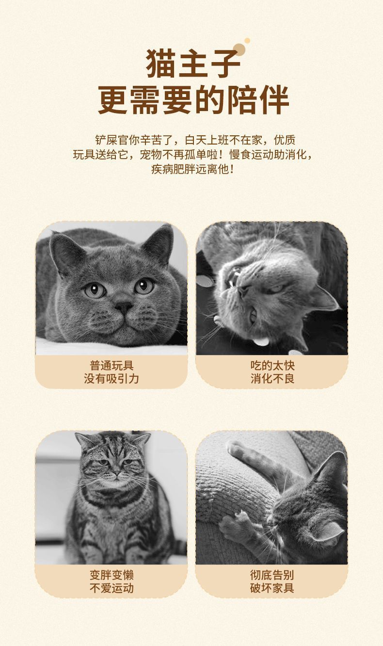 e2bfffb8-58d1-4706-8e79-76a00dcb0a35.jpe