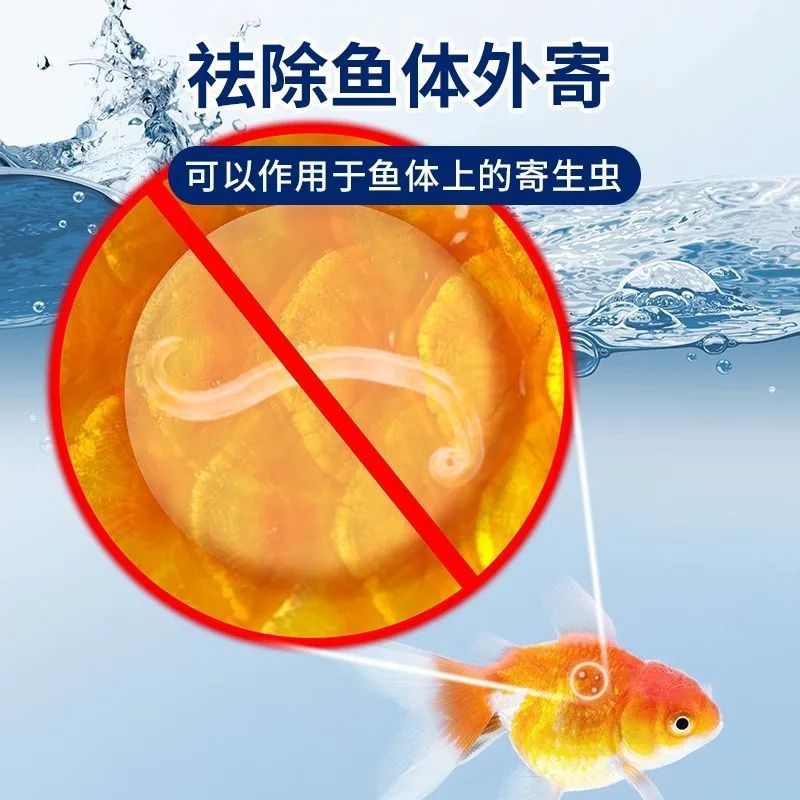 8249ed9b-2c45-4565-b911-397c045bd2f0.jpe