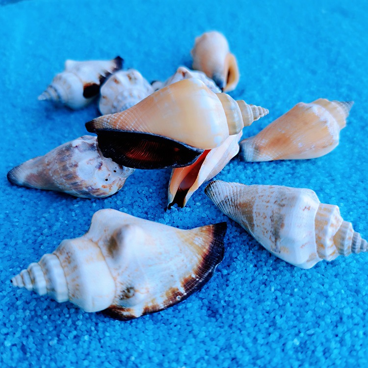 MTXX_20220505165326_mh16517418