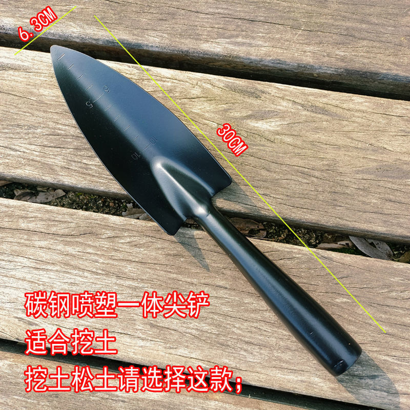 755f12a1-b9eb-42ef-b57b-b603bdd6686c.jpe