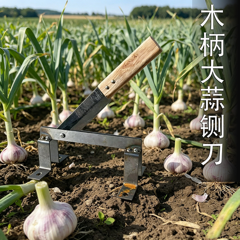 去除图片水印