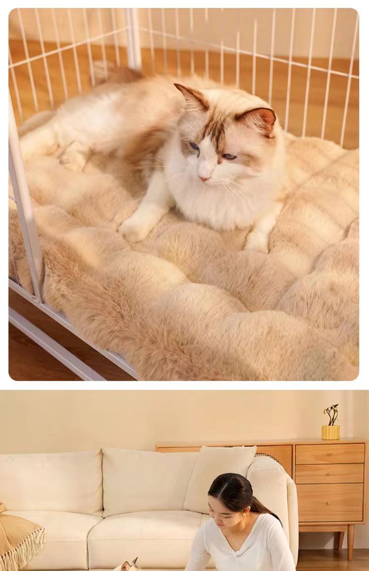 0d0ab5bc-6c3b-409a-9508-b45aeb2d80a0.jpe