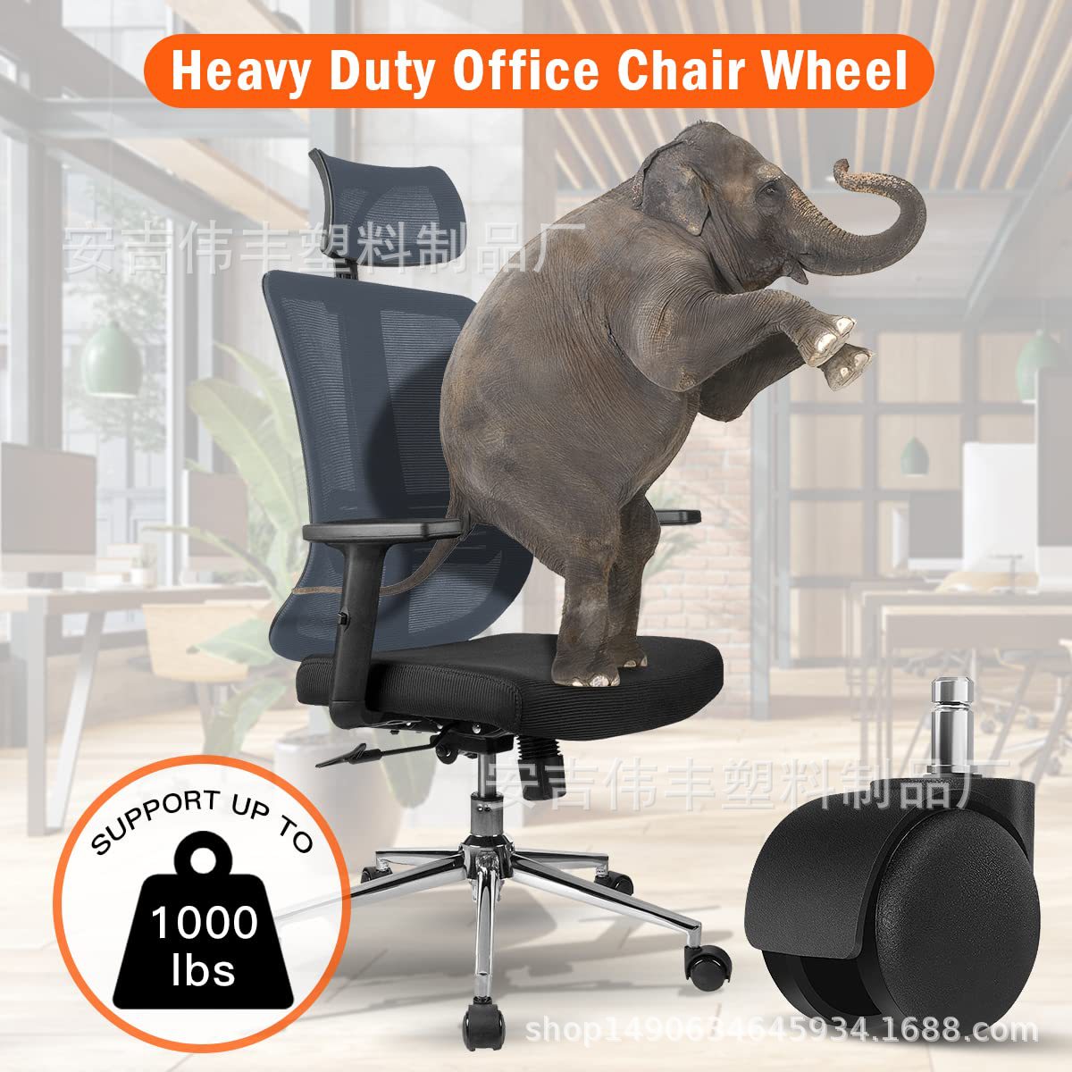 71cXkdbLL4L._SL1200_