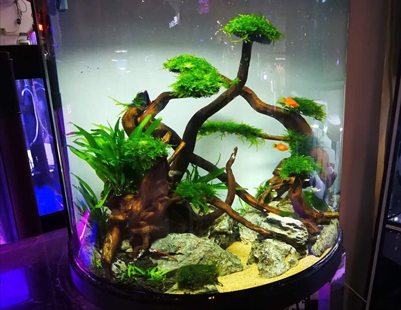 caacc172-57ee-4c4b-9f3a-64c6c48b3c7d.jpe