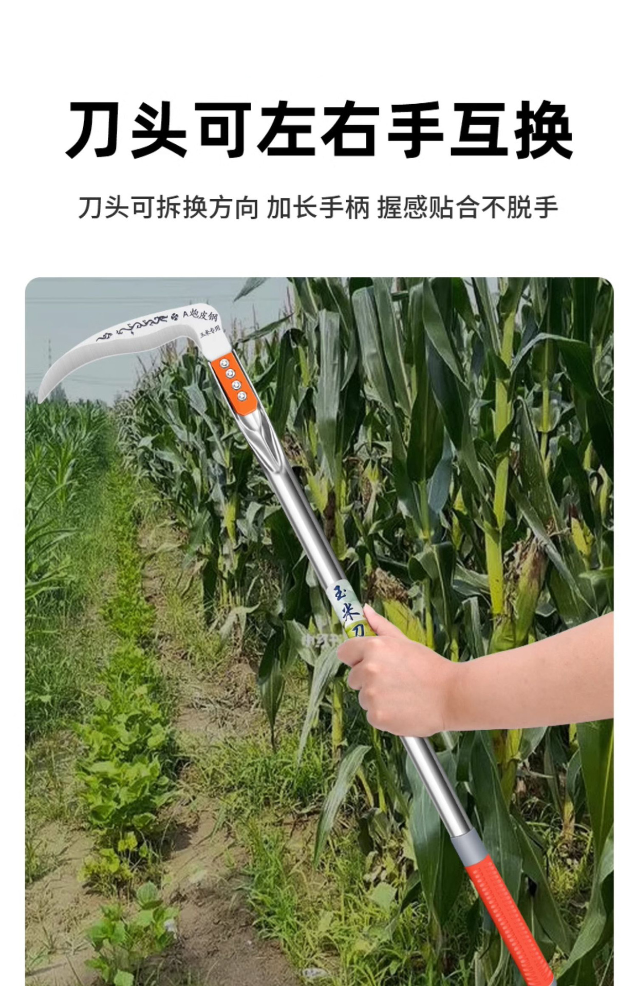 详情_015.jpg