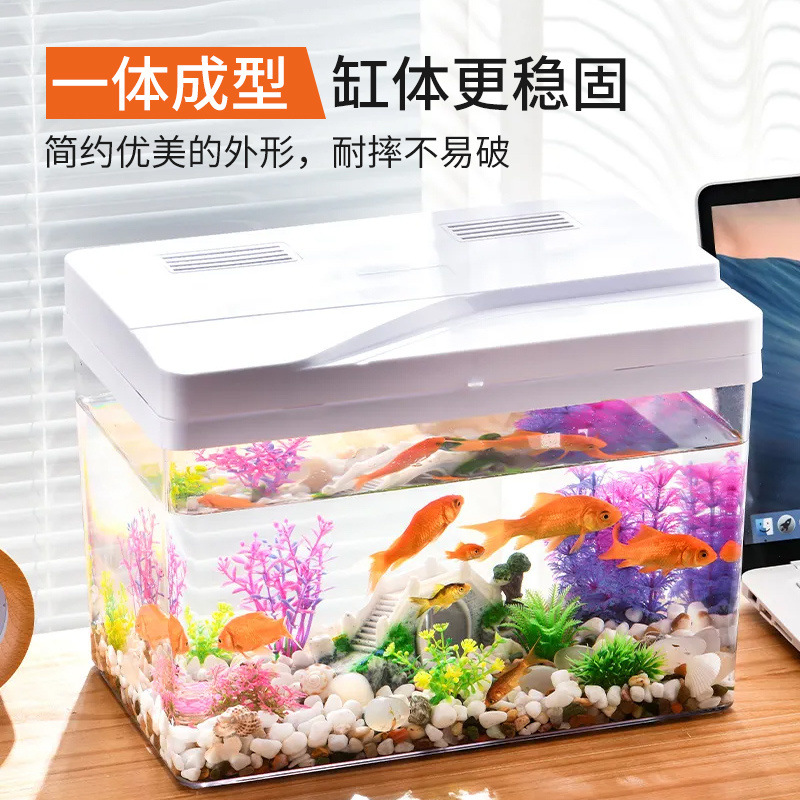 373cf665-b1d5-489a-a6e5-55c836ec84c6.jpe