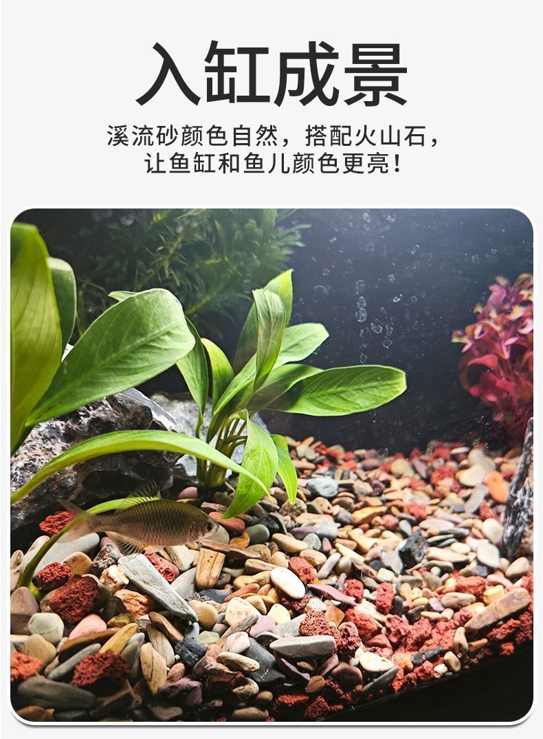 40e38819-f065-4363-848b-b7ca1fe943f4.jpe