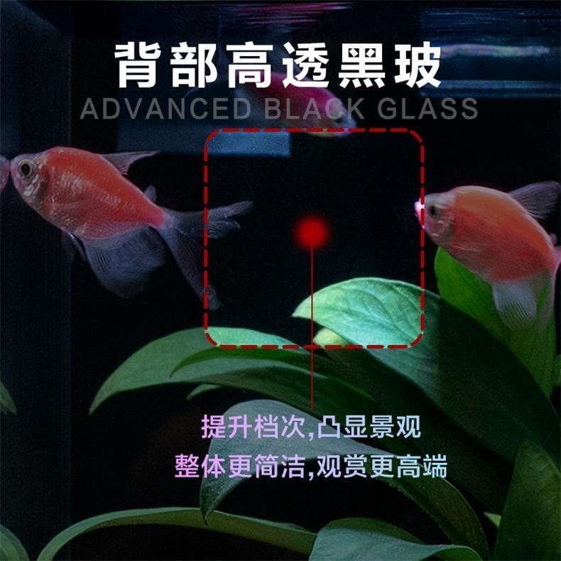 37f76f97-1ac9-489b-bb82-2a6e4f3653c4.jpe