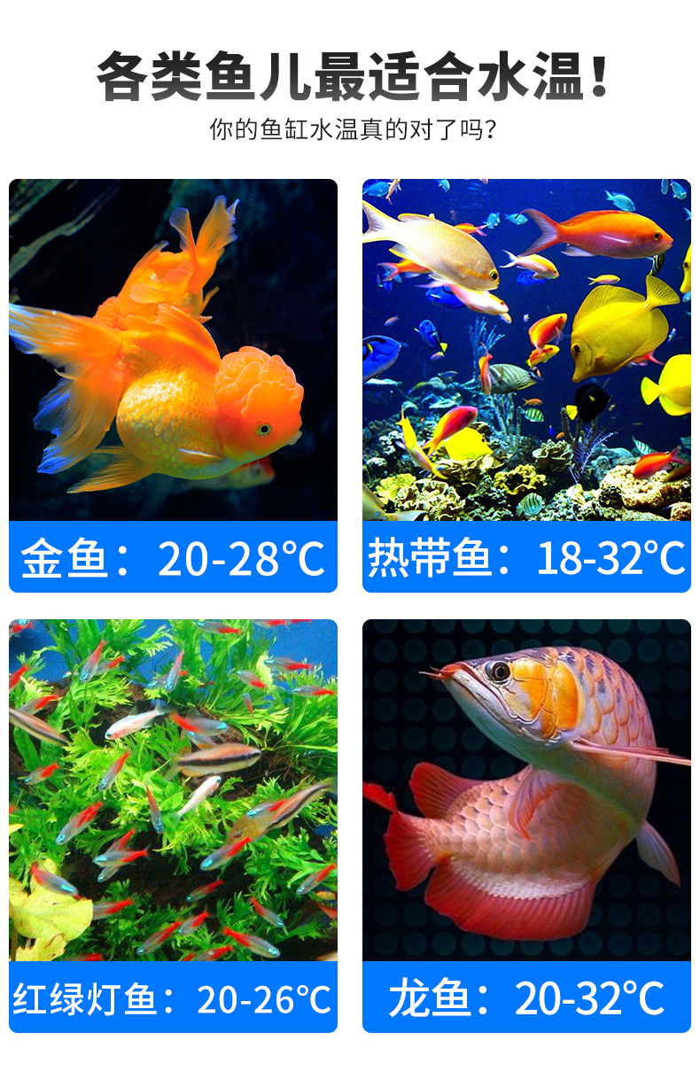 波动记录温度计_04.jpg
