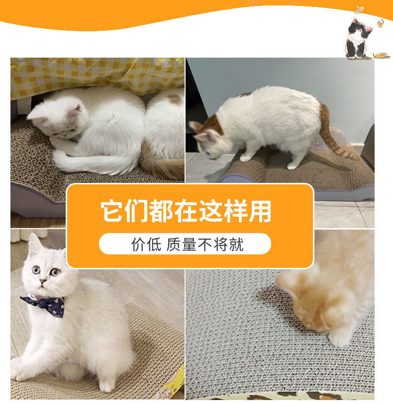 详情图片_4.jpeg