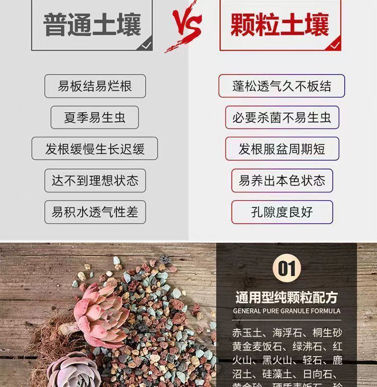 538ed3e2-490c-4a61-8f40-ca0807a74db9.jpe