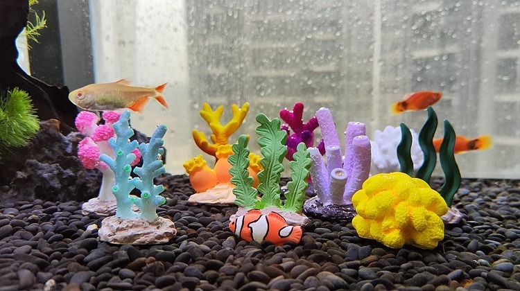 5d3cde30-4aa7-4ff8-b5fd-6bd17cd94652.jpe