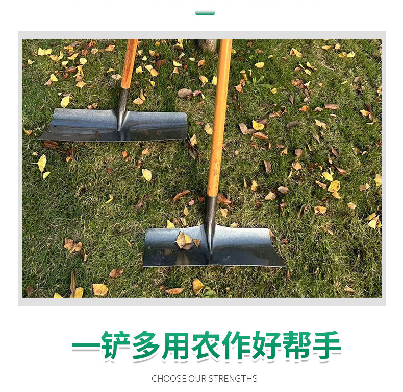 c1ed775e87b18fa7810d6b1ed63451