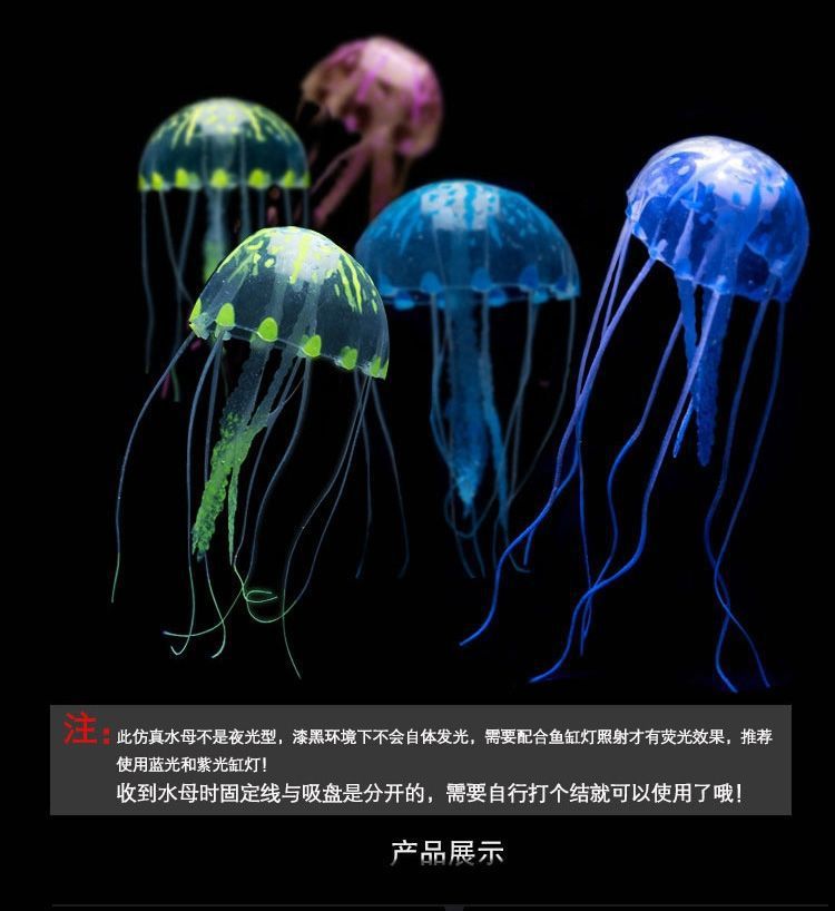 ca3945f8-29d0-4815-adf8-bf55f7c93a61.jpe