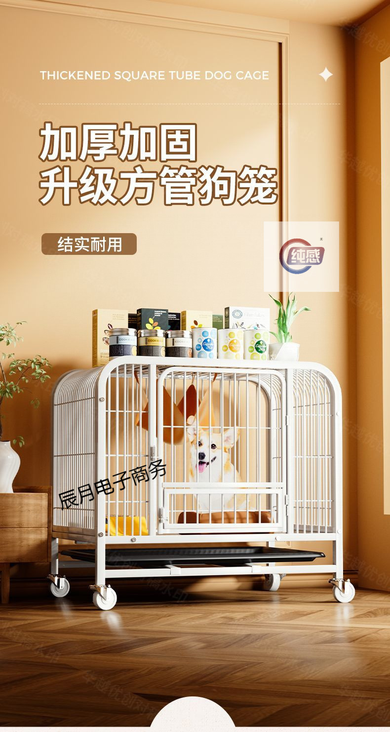 d185c4f1-8bdf-47f7-aee2-2f8e51fe6f3c.jpe