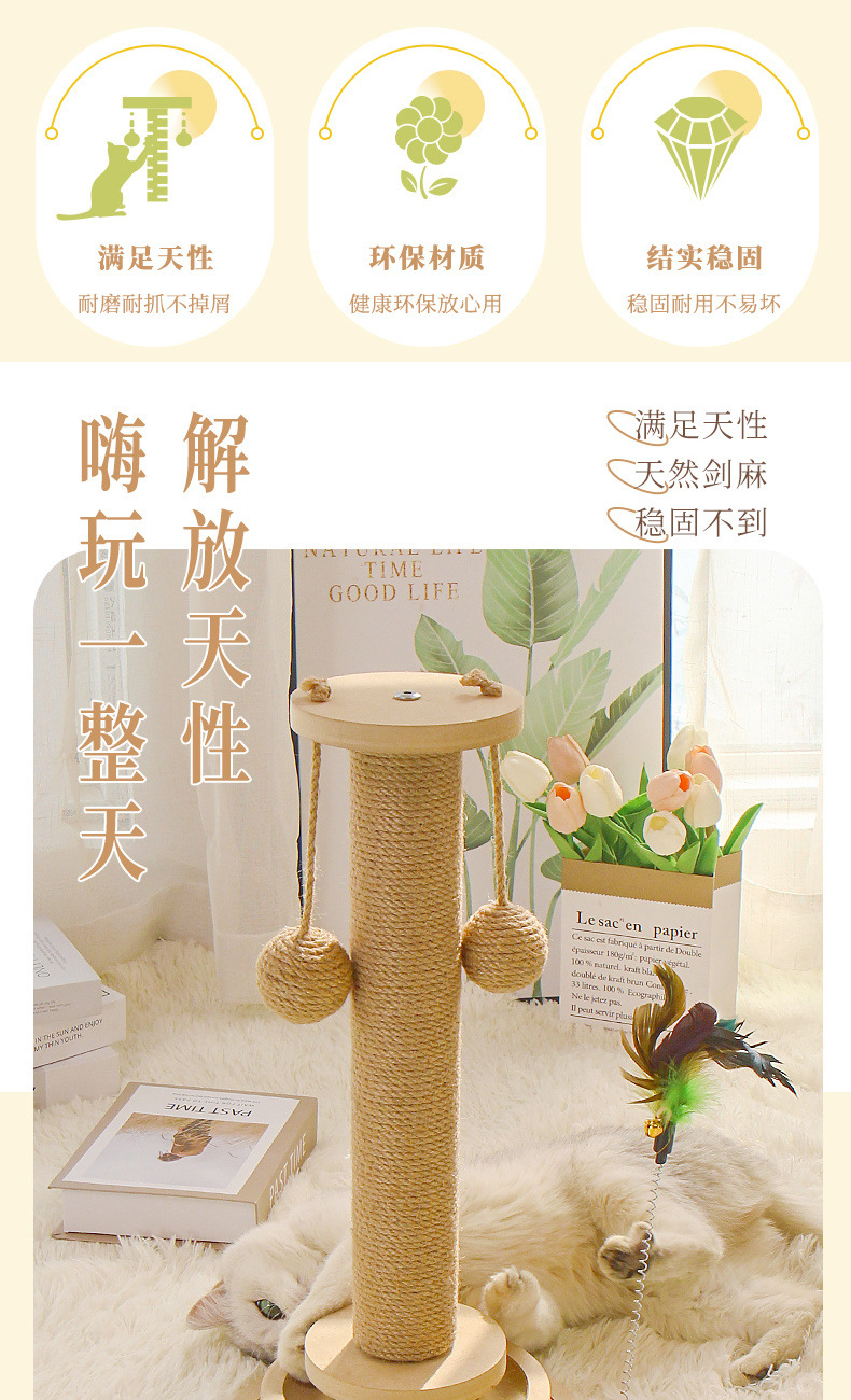 b32039c6-3b29-497a-8961-b8a6f72b2714.jpe