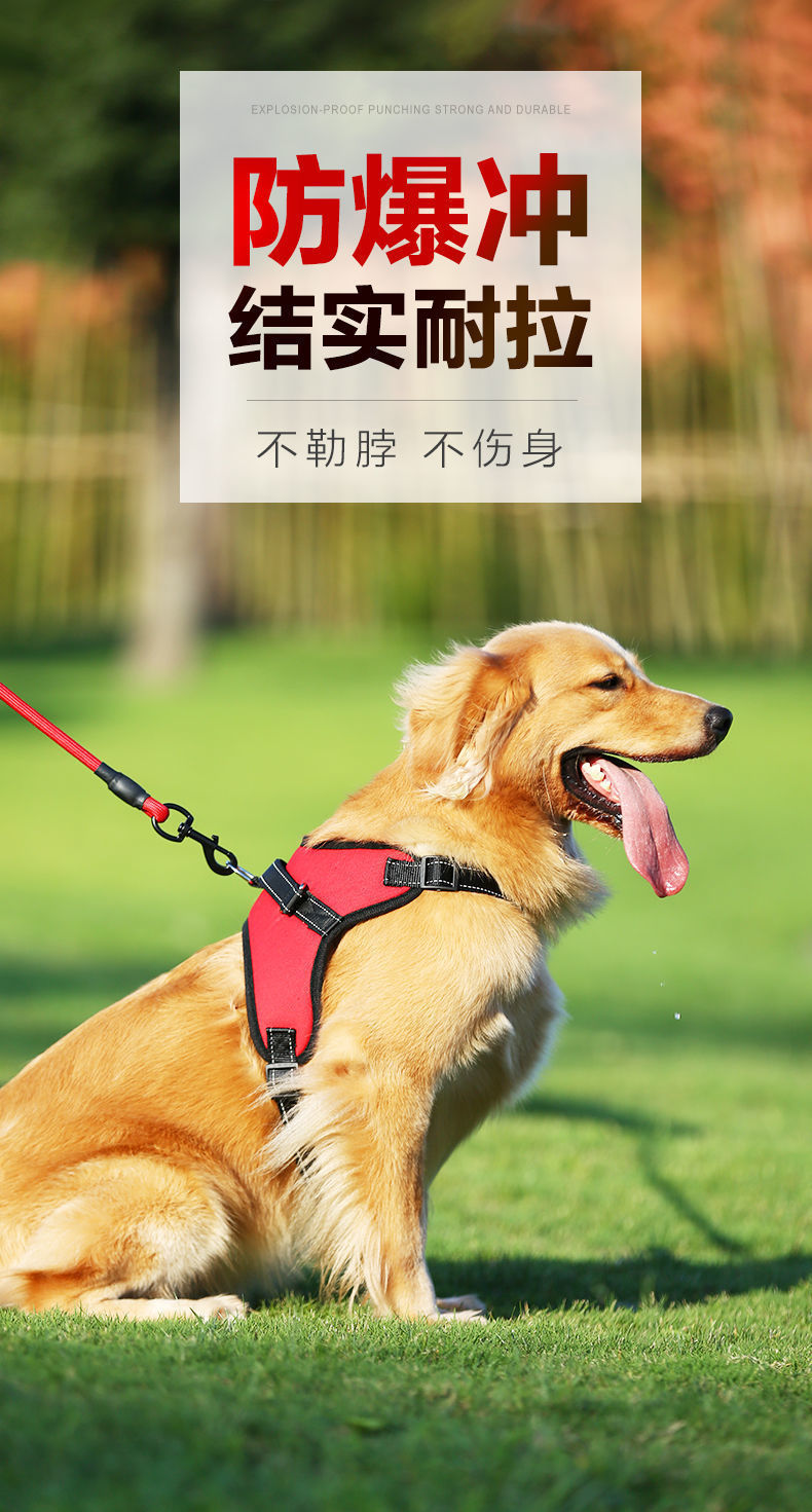 1cf970f7-9dd5-44e2-bc7d-7c5866d96d42.jpe