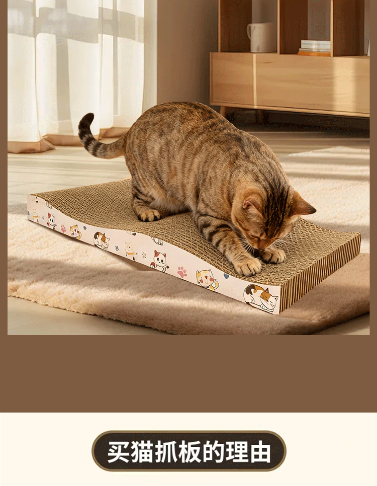 C-_Users_Administrator_Desktop