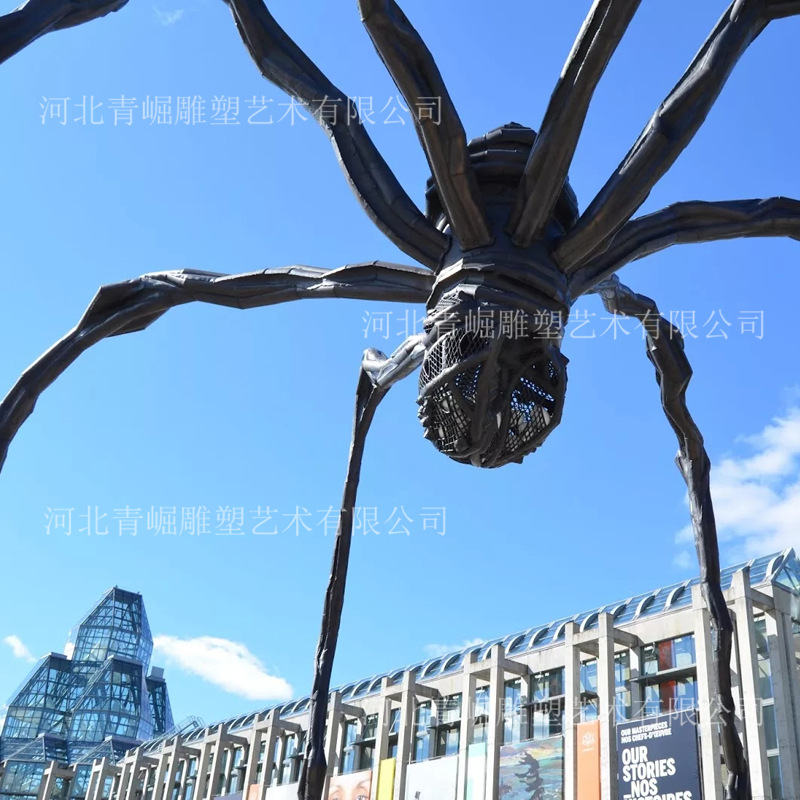 蜘蛛1 (2).jpg