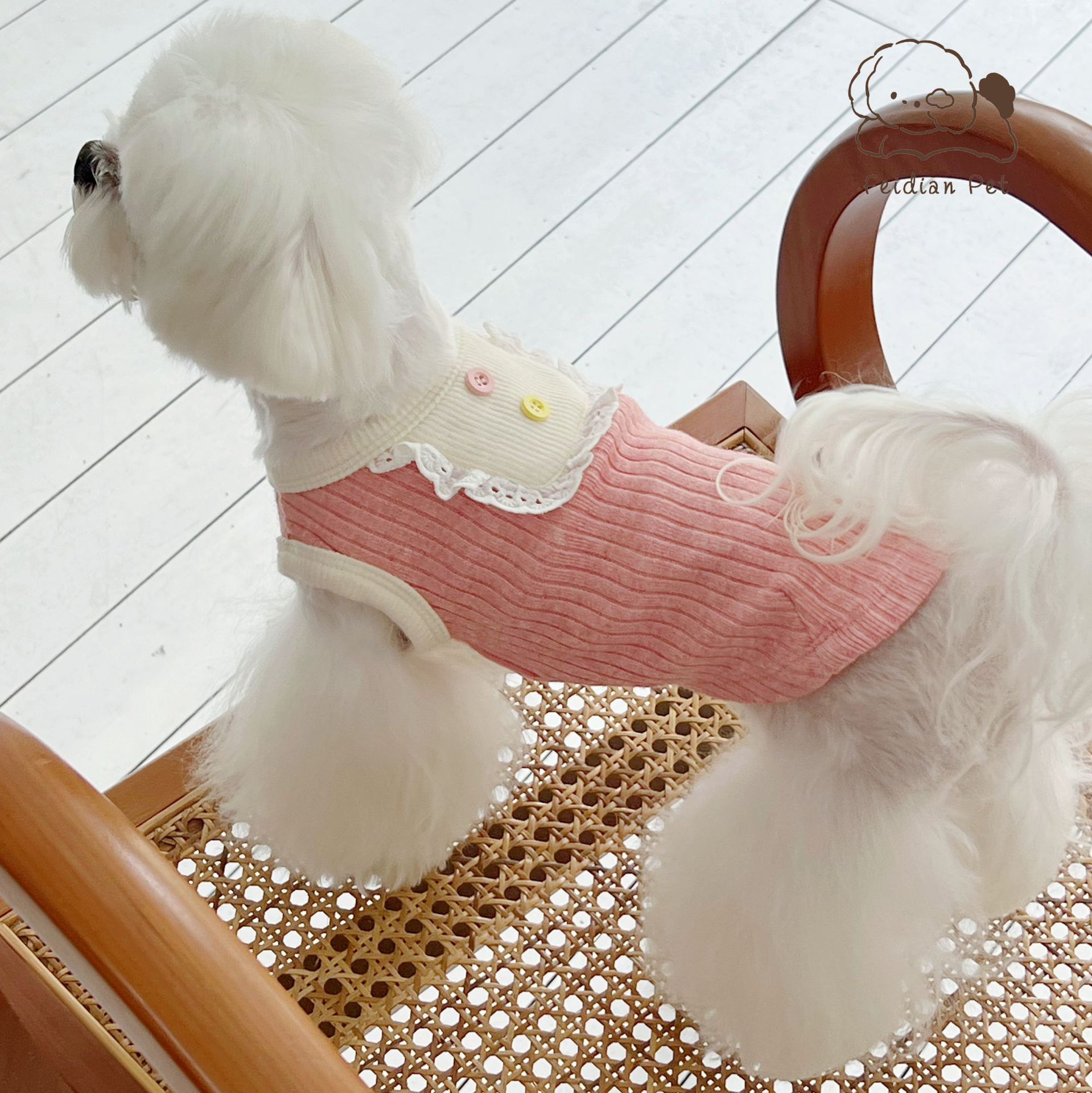 微信图片_20220822194957